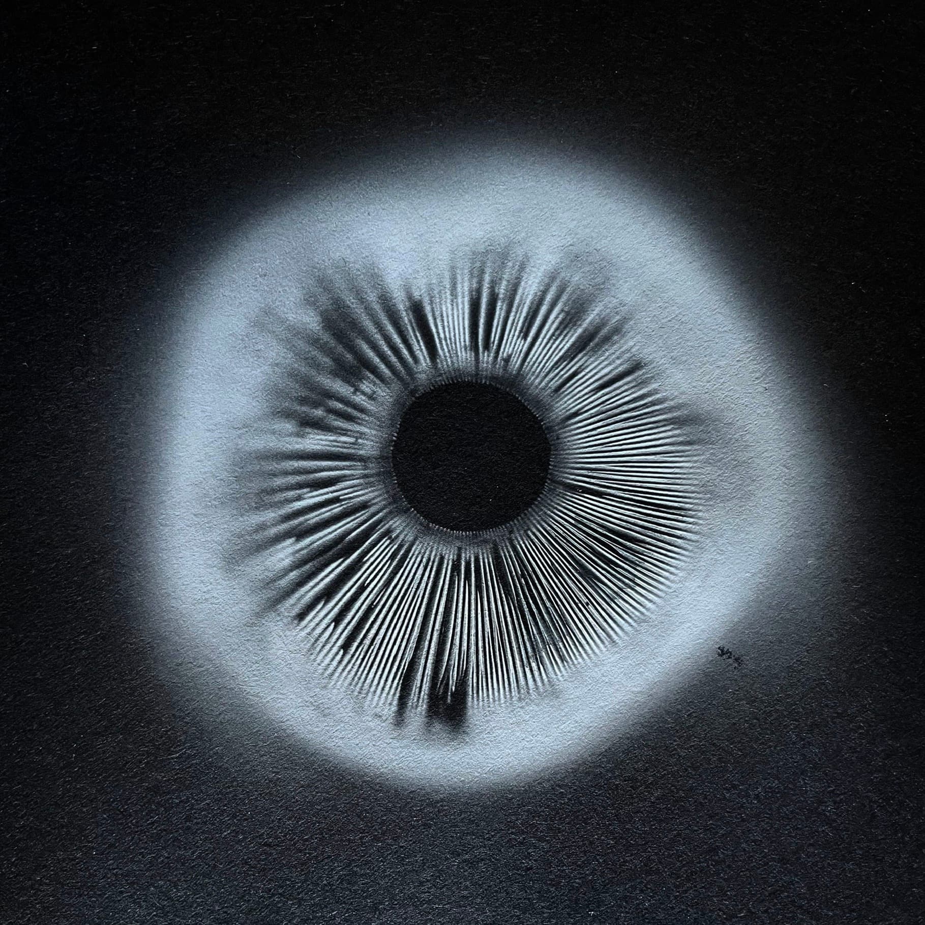 Zeichnung einer Iris mit strahlenförmiger Struktur