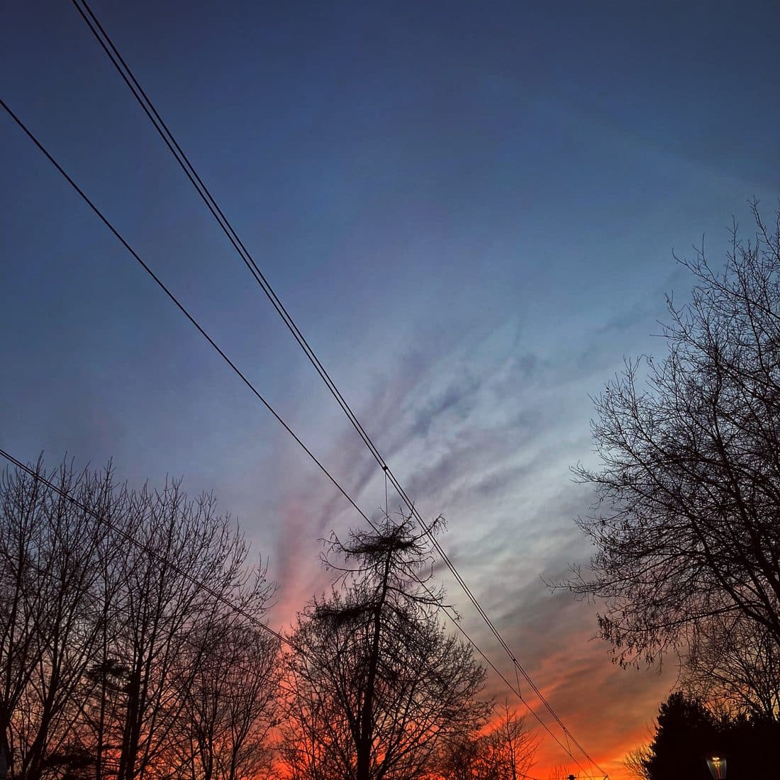 Ein Abendhimmel, der von tiefem Blau über blasses Rosa in leuchtendes Orange übergeht, davor kahle Bäume und Leitungen als dunkle Silhouetten