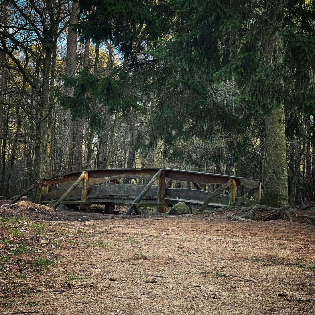 Eine kleine Holzbrücke mit Geländer und schrägen Streben am Ende eines erdigen Waldwegs, darüber hängen die Zweige eines Nadelbaums, dahinter stehen kahle Laubbäume