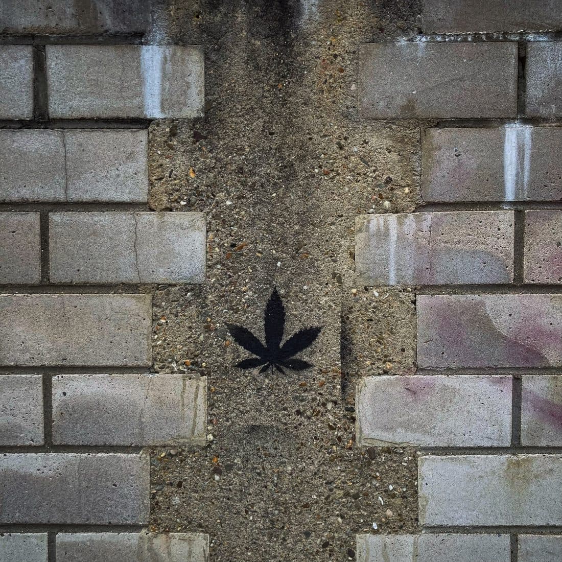 Ein schwarz aufgesprühtes Hanfblatt auf einem rauen Betonstreifen, der senkrecht durch eine Mauer aus grauen Steinen läuft, daneben weiße Laufspuren und blassviolette Farbreste