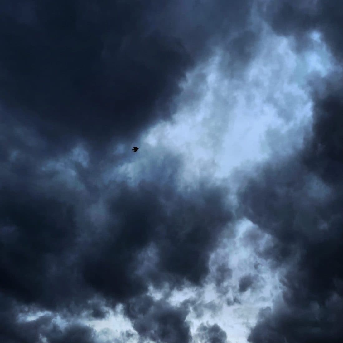 Dunkle Wolkendecke mit einem hell aufgerissenen Streifen, davor ein kleiner Vogel als Silhouette