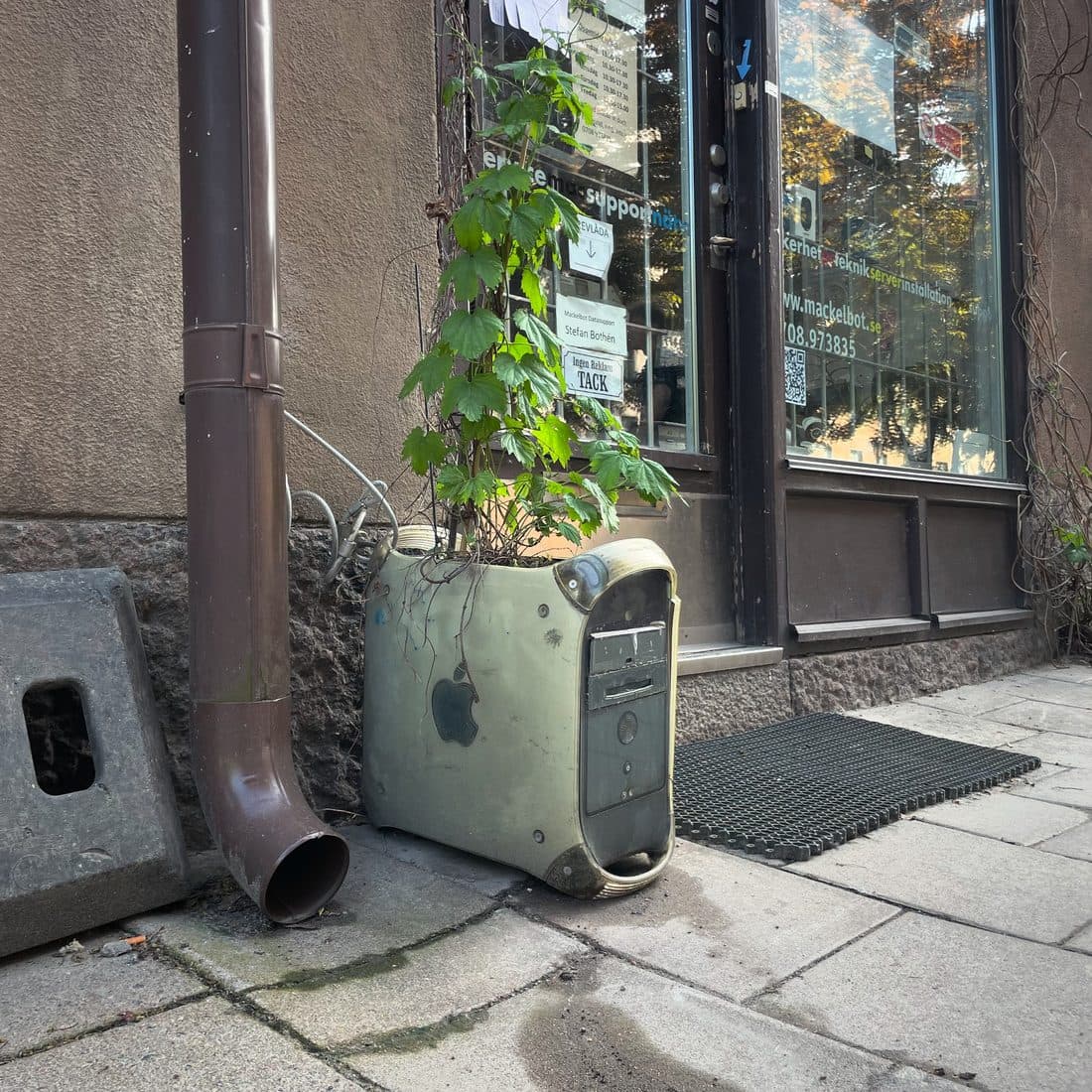 Ein ausgedientes Computergehäuse mit Apple-Logo dient als Pflanzkübel für eine Kletterpflanze und steht auf dem Gehweg vor einem Ladenfenster, daneben ein Fallrohr