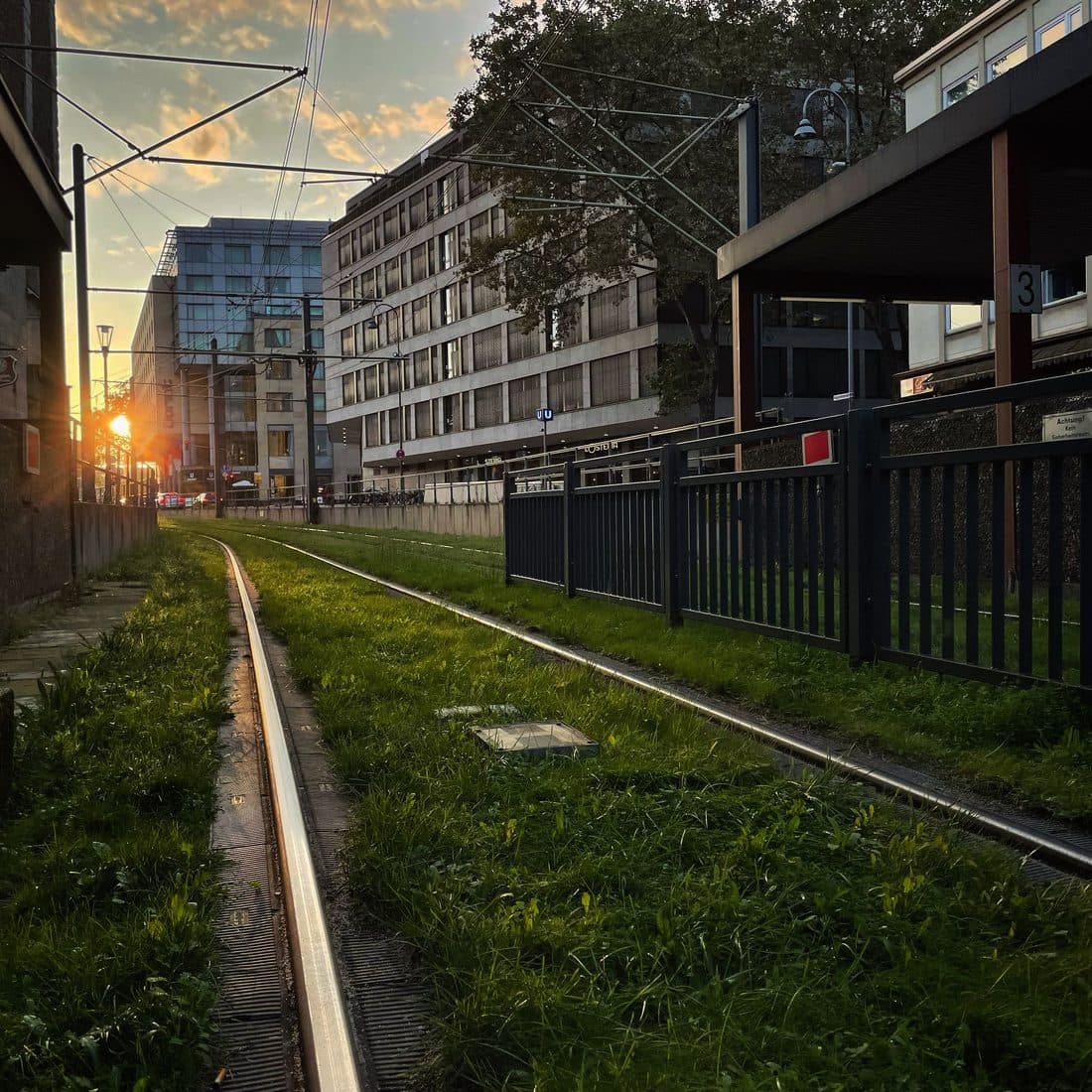 Ein mit Gras bewachsenes Straßenbahngleis führt zwischen Bürogebäuden auf die tief stehende Sonne zu, darüber Oberleitungen und ein goldgelb leuchtender Abendhimmel