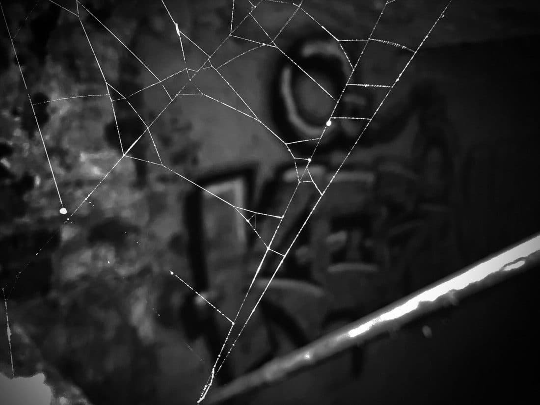 Schwarzweiß: ein Spinnennetz mit Tautropfen an den Fäden, dahinter unscharf eine Graffitiwand und ein Geländer