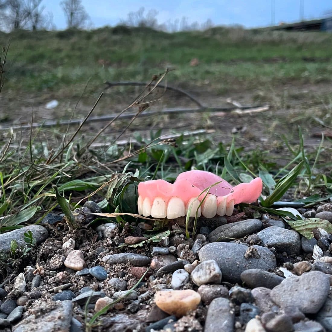 Eine Zahnprothese liegt zwischen Kieselsteinen und Grashalmen, dahinter unscharf eine grüne Böschung und kahle Bäume unter blassblauem Himmel