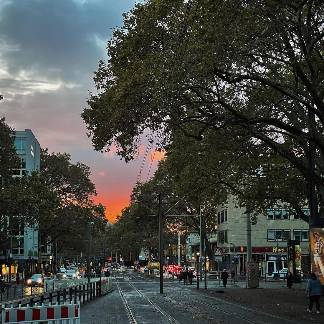 Straßenbahngleise mit Oberleitungen führen zwischen großen Laubbäumen und Geschäftshäusern auf einen orange und rosa leuchtenden Abendhimmel zu, links Autos mit eingeschaltetem Licht
