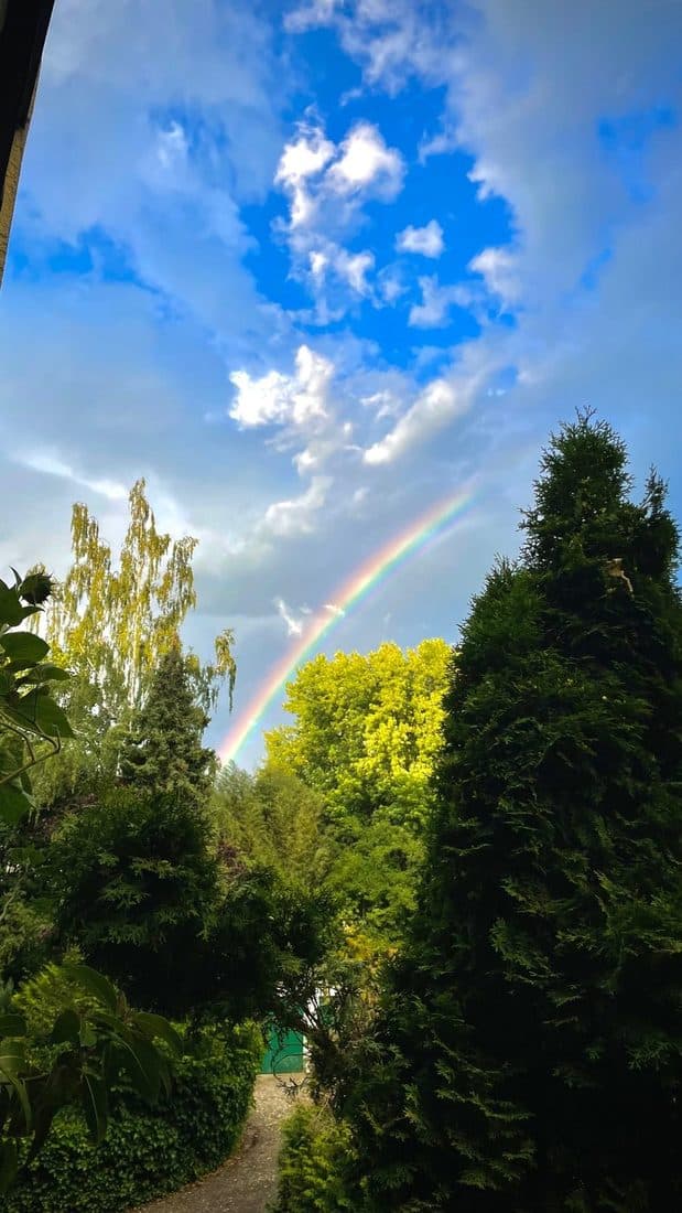 Ein Regenbogen zieht sich schräg über einen blau-weiß bewölkten Himmel, darunter Thujahecken, Birken und ein sonnenbeschienener Laubbaum