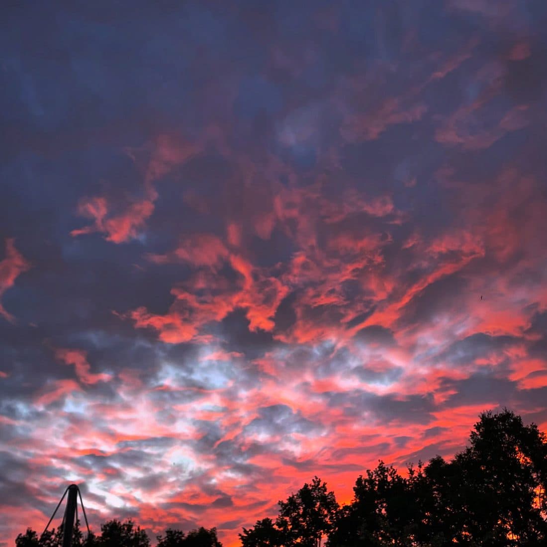 Ein Abendhimmel voller zerrissener Wolken, die leuchtend rot und rosa vor dunklem Blaugrau stehen, am unteren Rand die schwarzen Umrisse von Baumkronen und einem Mast