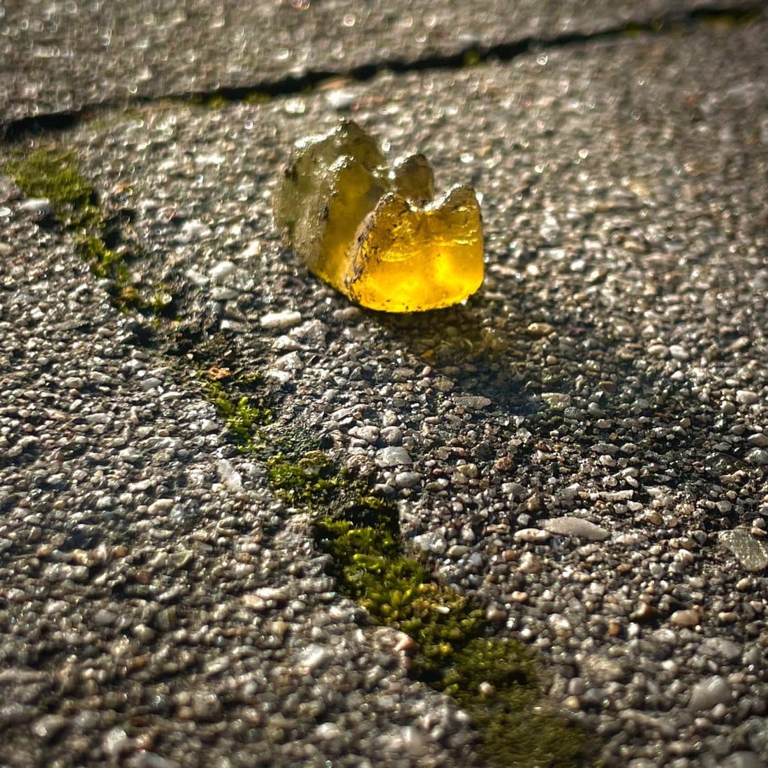 Ein gelbes Glasstück leuchtet in der Sonne auf einer Betonplatte, in deren Ritzen Moos wächst