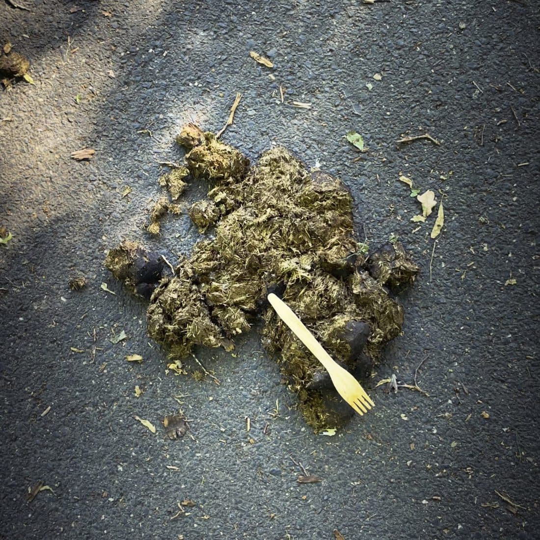 Auf Asphalt liegt ein Häufchen Pferdemist, darin steckt eine helle Holzgabel