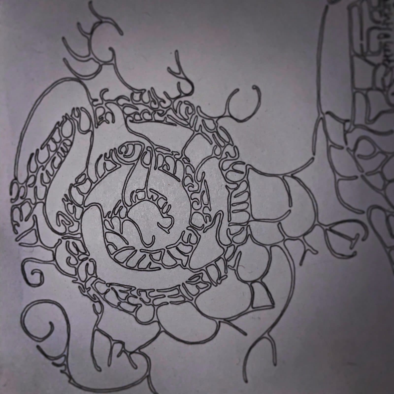gewachsene Spirale — Tusche auf Papier